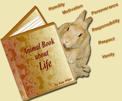 Rabbit reading an animal book about life.