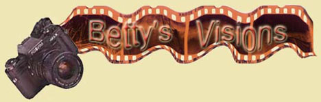Betty's Vision's Home Page