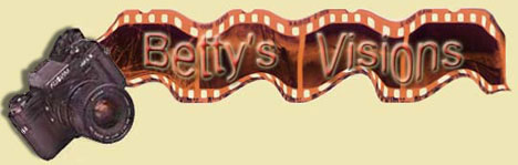 Betty's Visions Home Page